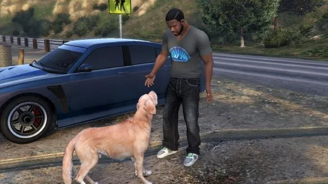 Risk Assessment - GTA 5 Strangers & Freaks Risk Assessment - GTA 5 Strangers & Freaks
