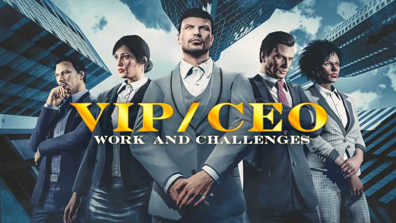 VIP/CEO Work & Challenges