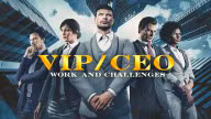 VIP/CEO Work & Challenges