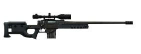 Sniper rifle