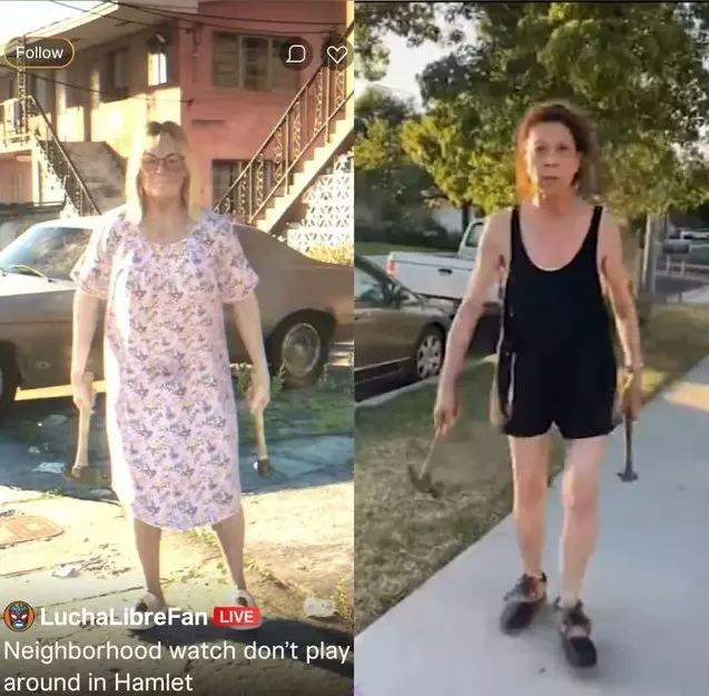 gta 6 woman with 2 hammers