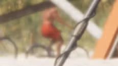 BMX