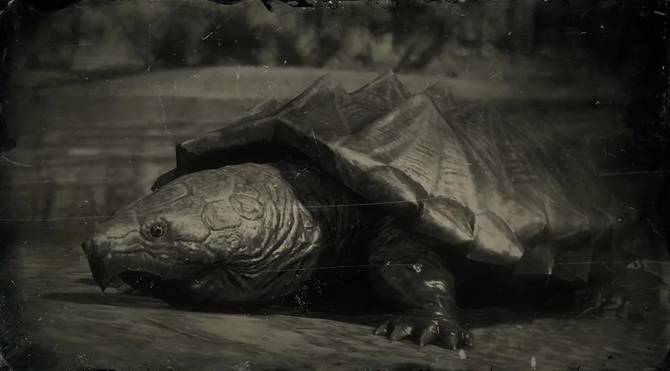 Alligator Snapping Turtle - RDR2 Animal