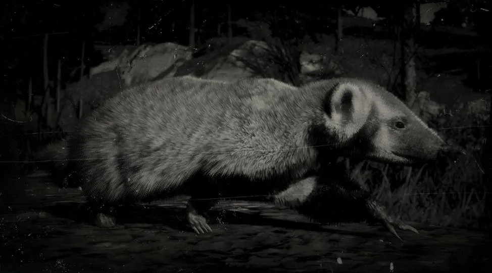 American Badger - RDR2 Animal