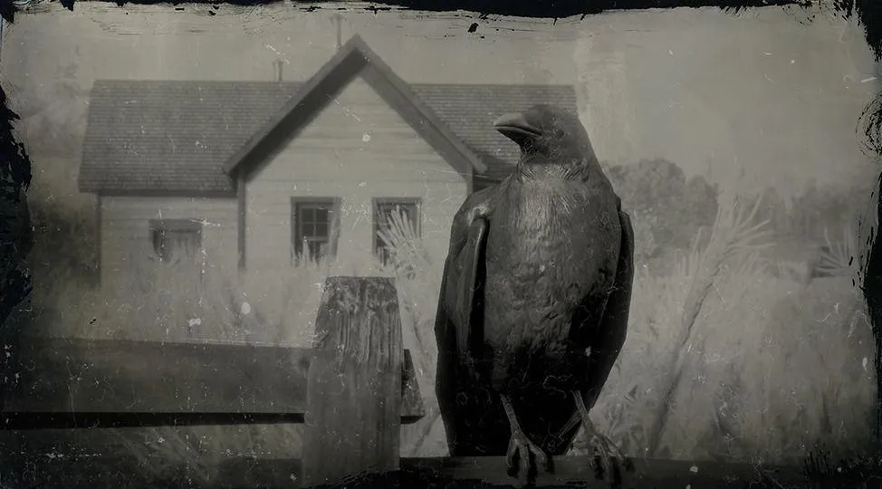 American Crow - RDR2 Animals | Map Location & Where To Find American Crow - RDR2 Animals | Map Location & Where To Find