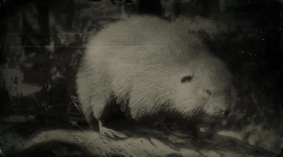 American Muskrat - RDR2 Animal