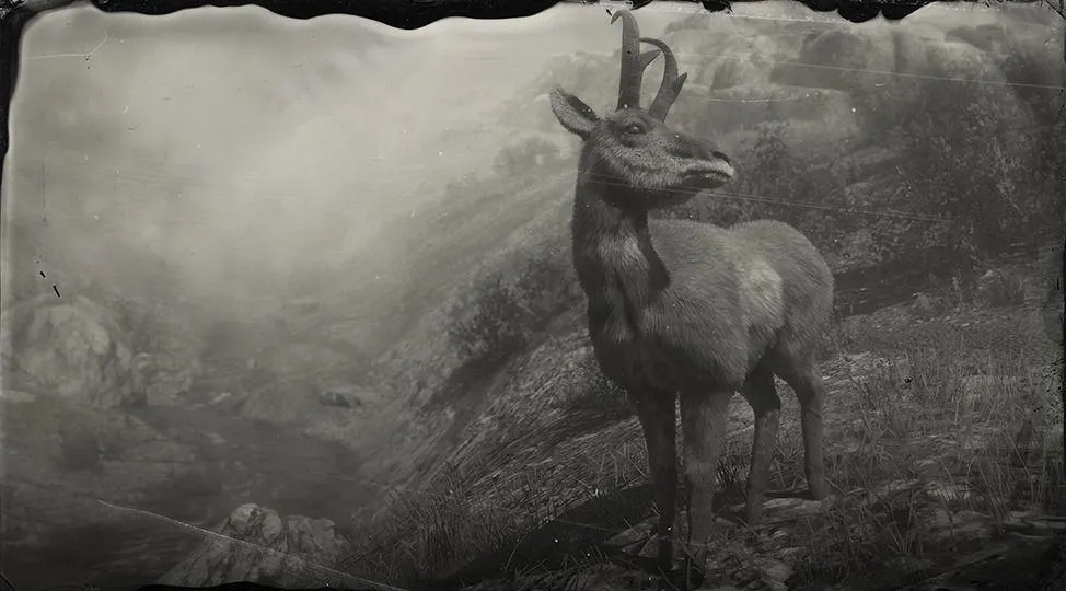 American Pronghorn Buck - RDR2 Animal American Pronghorn Buck - RDR2 Animal