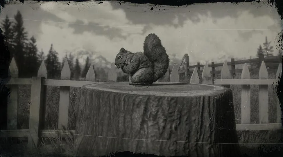 American Red Squirrel - RDR2 Animal American Red Squirrel - RDR2 Animal