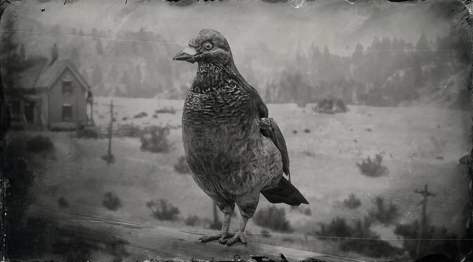 Band-tailed Pigeon - RDR2 Animal