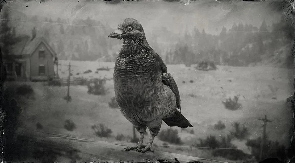 Band-tailed Pigeon - RDR2 Animals | Map Location & Where To Find Band-tailed Pigeon - RDR2 Animals | Map Location & Where To Find
