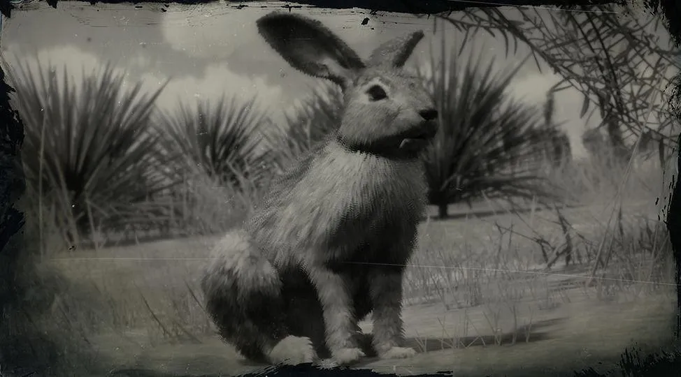 Black-tailed Jackrabbit - RDR2 Animal