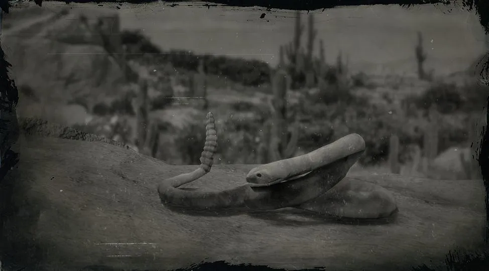 Black-tailed Rattlesnake - RDR2 Animal