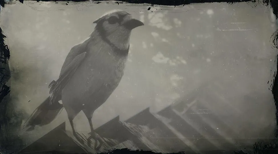 Blue Jay - RDR2 Animal