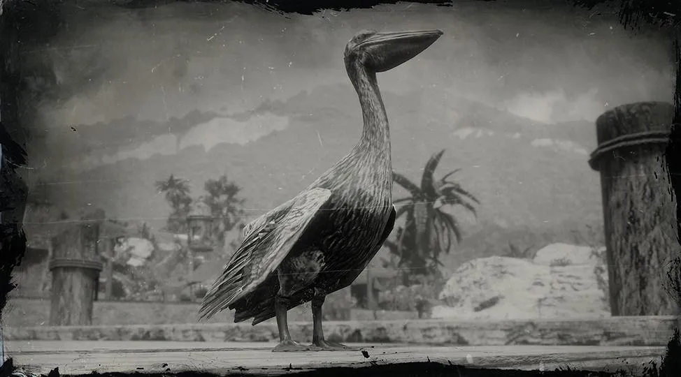 Brown Pelican - RDR2 Animal