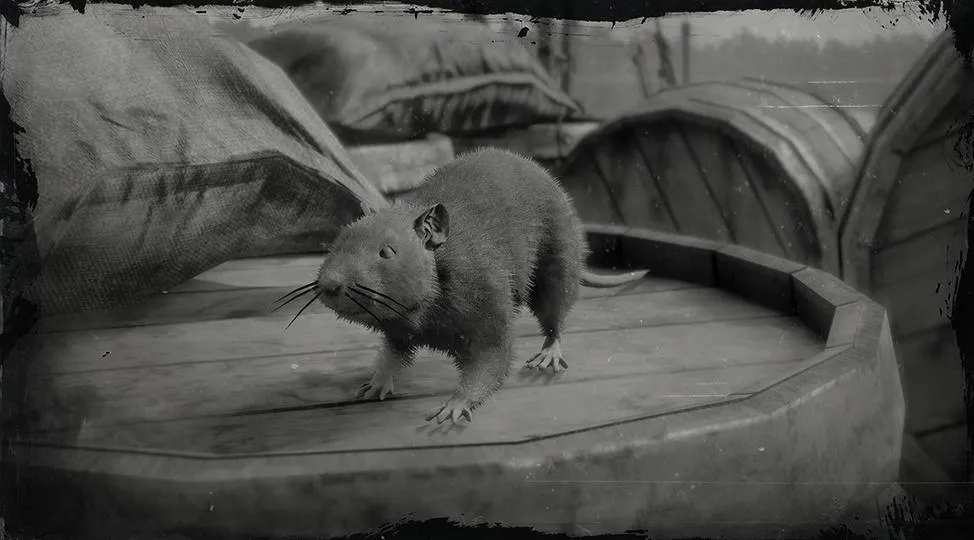 Brown Rat - RDR2 Animal