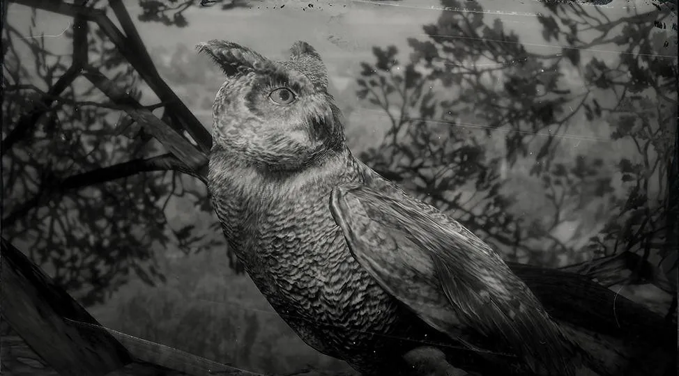 Californian Horned Owl - RDR2 Animal