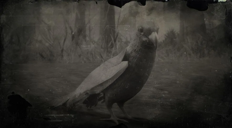 Carolina Parakeet - RDR2 Animal