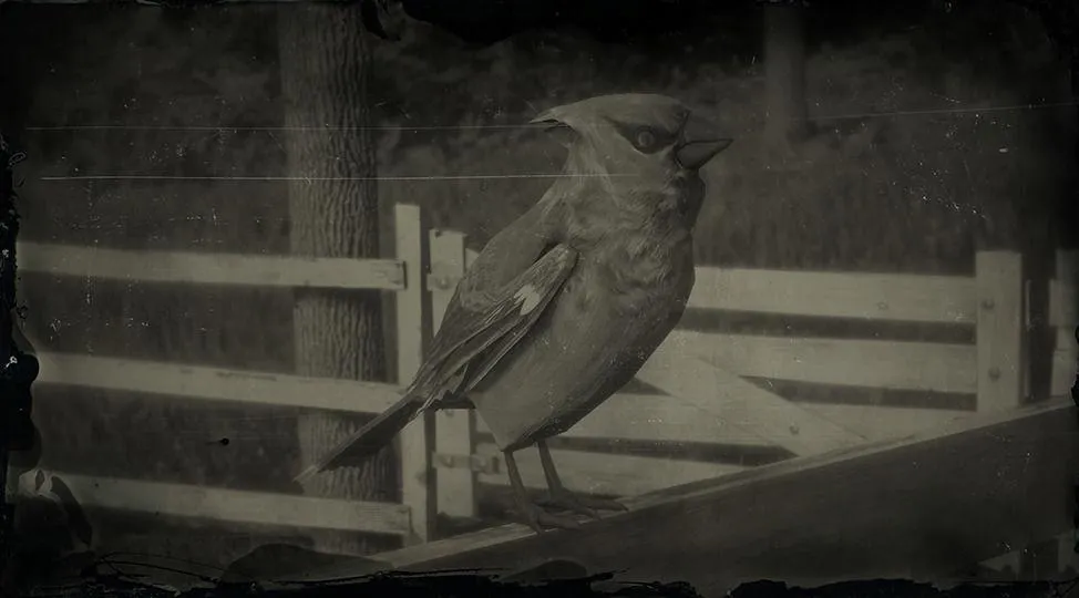 Cedar Waxwing - RDR2 Animal