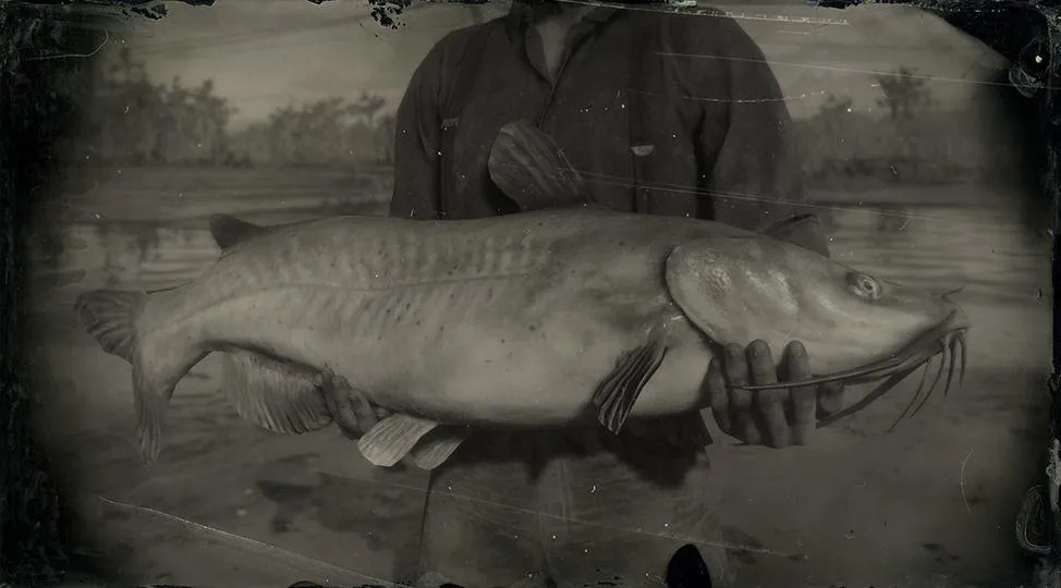 Channel Catfish - RDR2 Animal