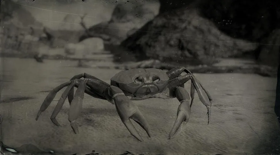 Cuban Land Crab - RDR2 Animal