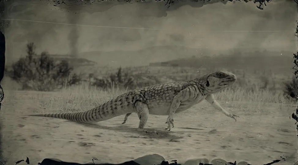 Desert Iguana - RDR2 Animal