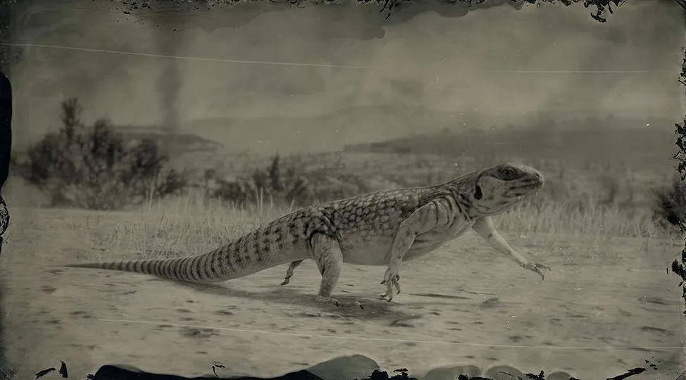 Desert Iguana - RDR2 Animal Desert Iguana - RDR2 Animal
