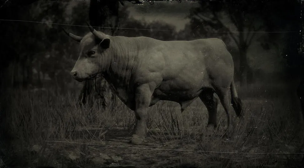 Devon Ox - RDR2 Animal