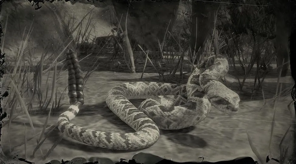 Diamondback Rattlesnake - RDR2 Animal