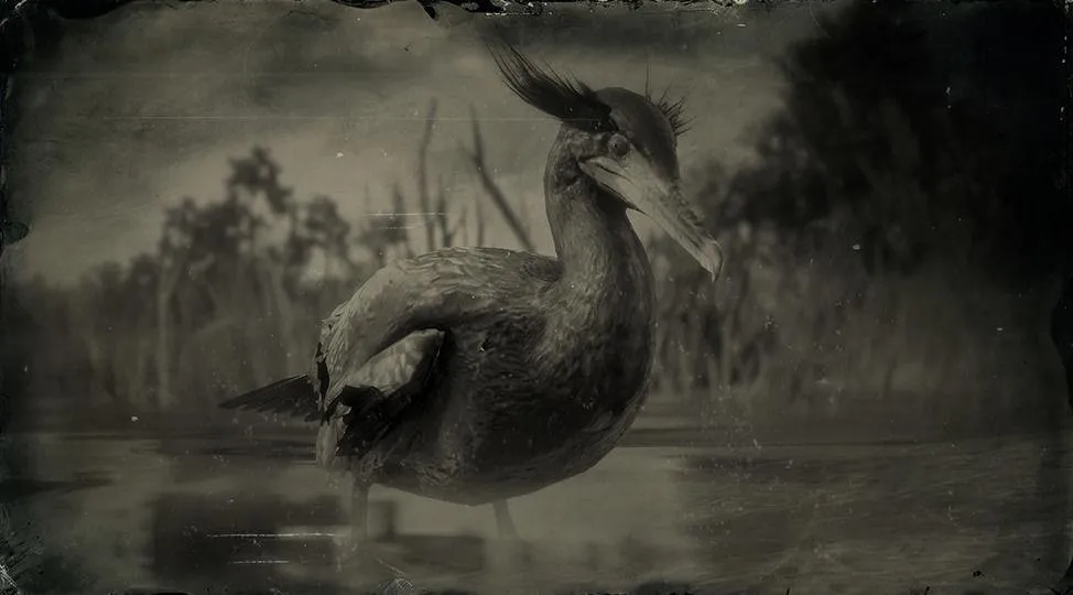 Double-crested Cormorant - RDR2 Animal