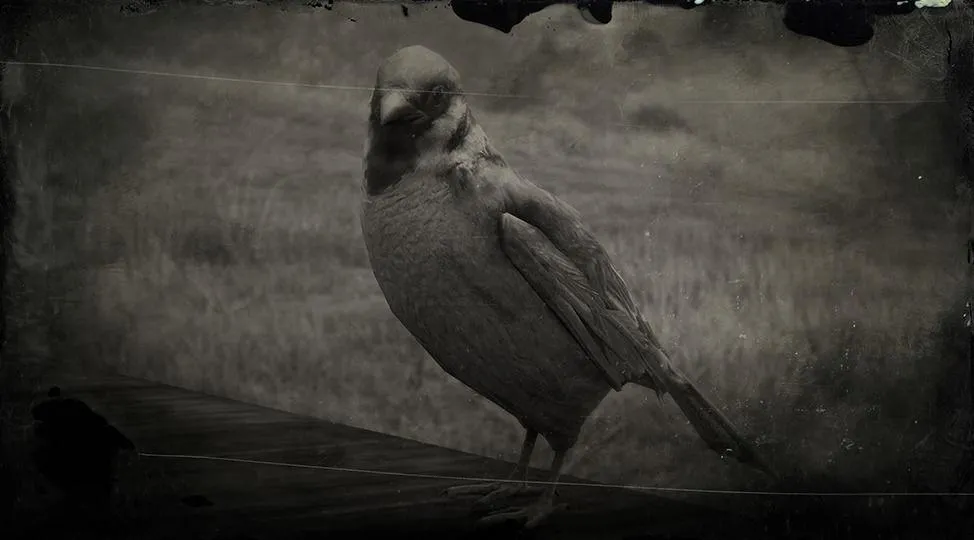 Eurasian Tree Sparrow - RDR2 Animals | Map Location & Where To Find Eurasian Tree Sparrow - RDR2 Animals | Map Location & Where To Find