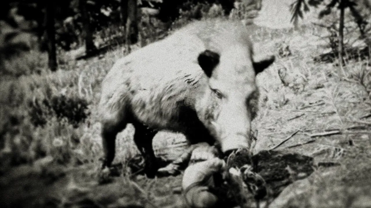 Giant Boar - RDR2 Animal