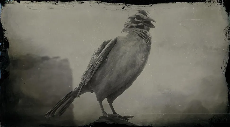 Golden Crowned Sparrow - RDR2 Animal