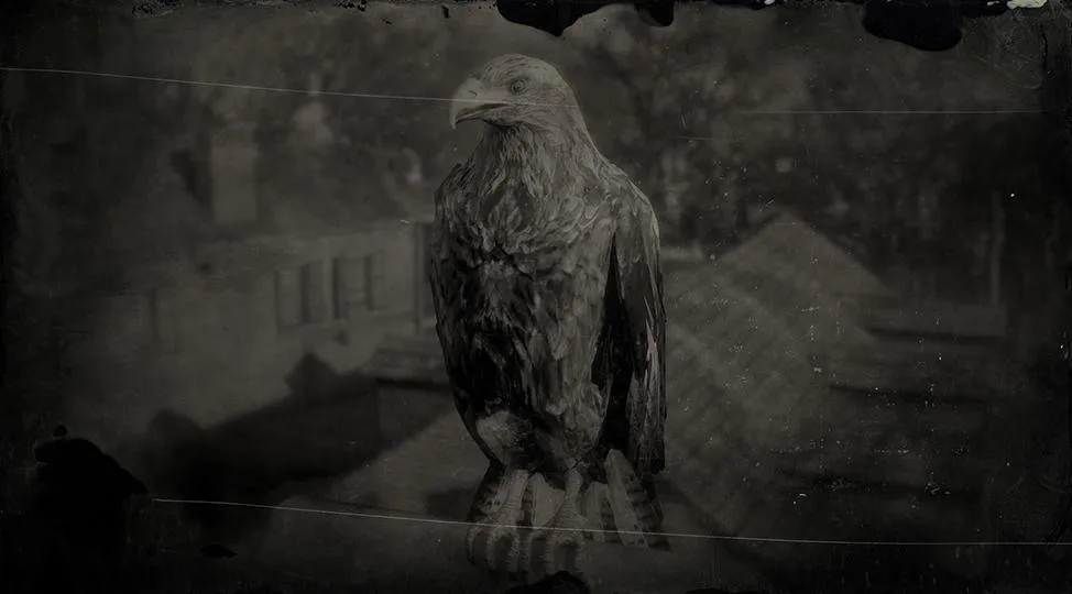Golden Eagle - RDR2 Animals | Map Location & Where To Find Golden Eagle - RDR2 Animals | Map Location & Where To Find