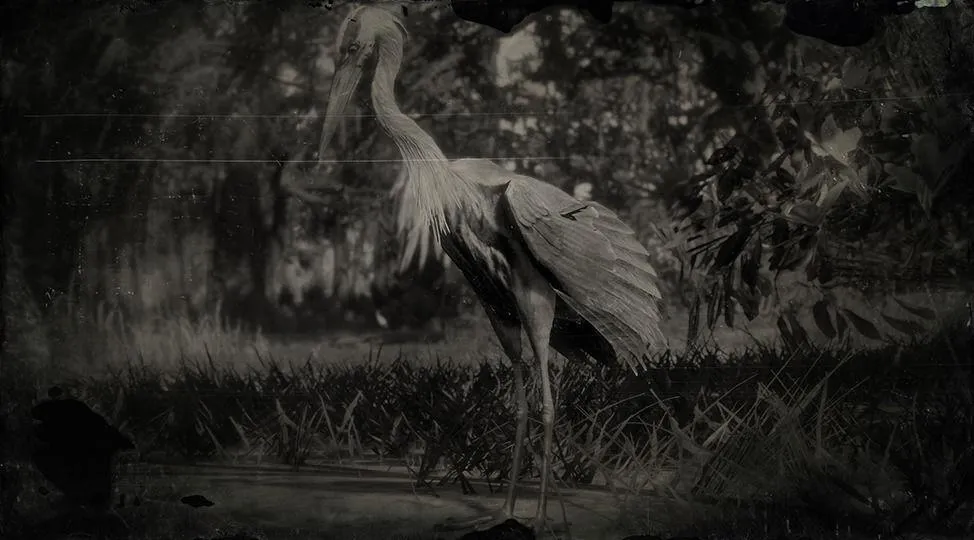 Great Blue Heron - RDR2 Animal