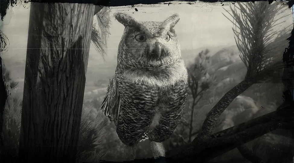 Great Horned Owl - RDR2 Animals | Map Location & Where To Find Great Horned Owl - RDR2 Animals | Map Location & Where To Find