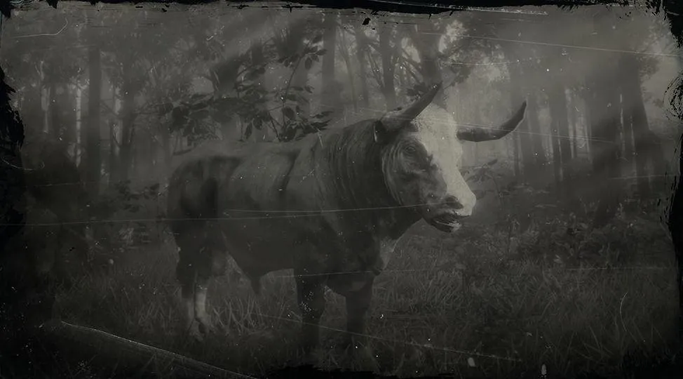 Hereford Bull - RDR2 Animal