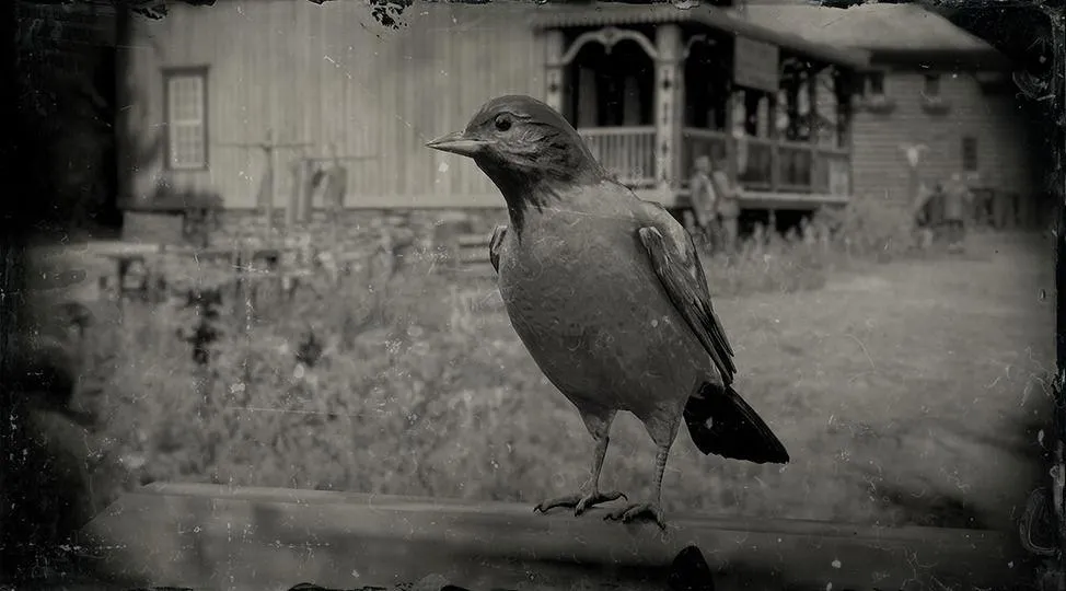 Hooded Oriole - RDR2 Animal