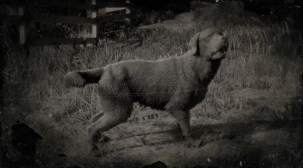 Labrador Retriever - RDR2 Animal