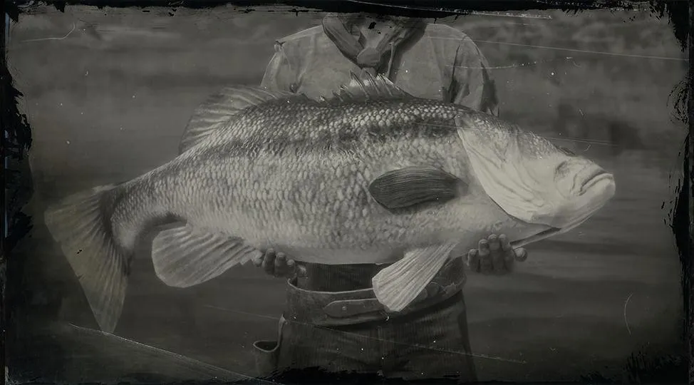 Legendary Largemouth Bass - RDR2 Animals | Map Location & Where To Find Legendary Largemouth Bass - RDR2 Animals | Map Location & Where To Find