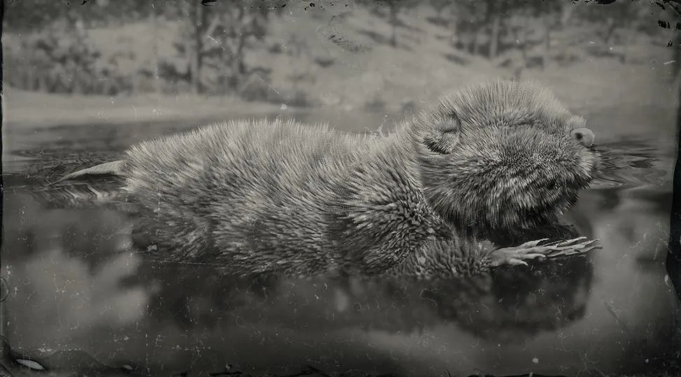 Legendary Beaver - RDR2 Animal