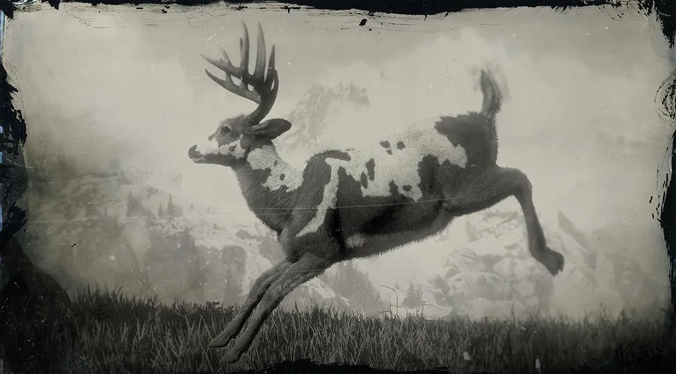 Legendary Buck - RDR2 Animals | Map Location & Where To Find Legendary Buck - RDR2 Animals | Map Location & Where To Find