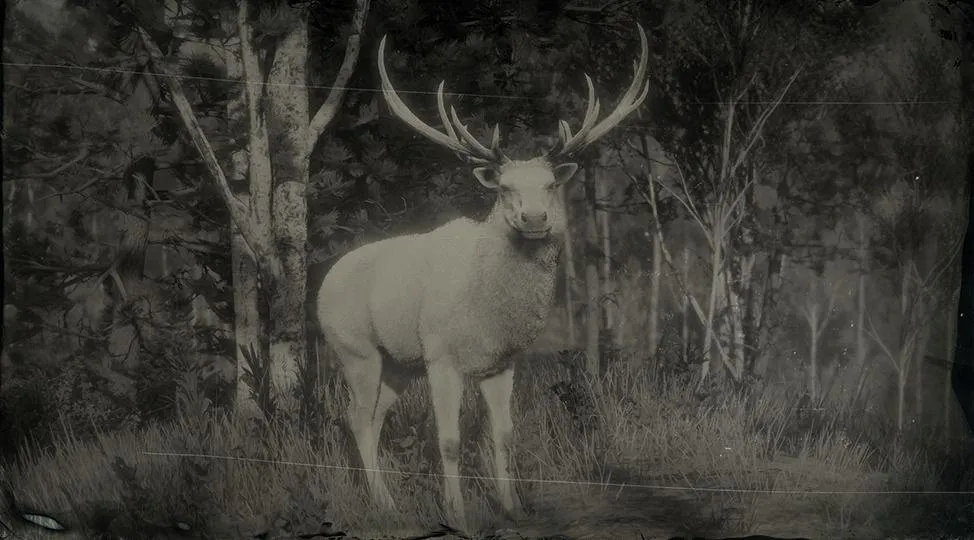 Legendary Elk - RDR2 Animals | Map Location & Where To Find Legendary Elk - RDR2 Animals | Map Location & Where To Find