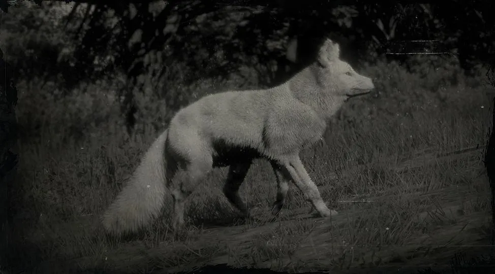 Legendary Fox - RDR2 Animal