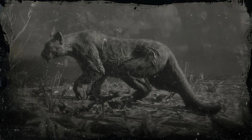 Legendary Giaguaro Panther - RDR2 Animal Legendary Giaguaro Panther - RDR2 Animal