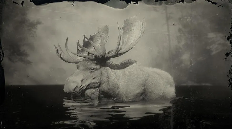 Legendary Moose - RDR2 Animals | Map Location & Where To Find Legendary Moose - RDR2 Animals | Map Location & Where To Find