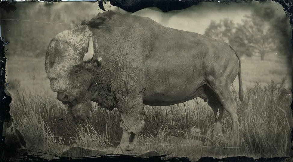 Legendary Tatanka Bison - RDR2 Animal