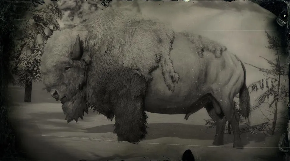 Legendary White Bison - RDR2 Animal Legendary White Bison - RDR2 Animal