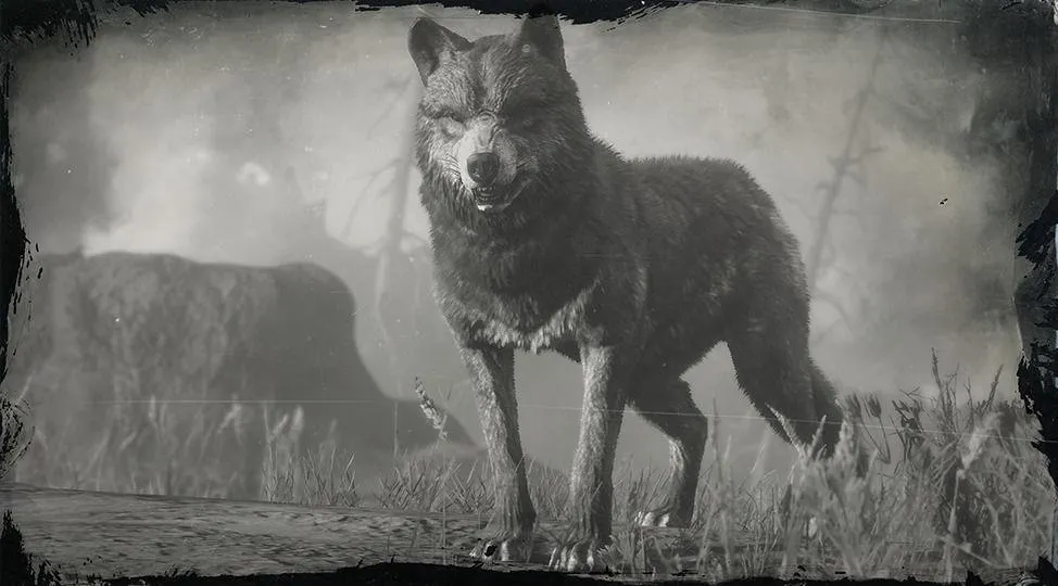 Legendary Wolf - RDR2 Animal Legendary Wolf - RDR2 Animal