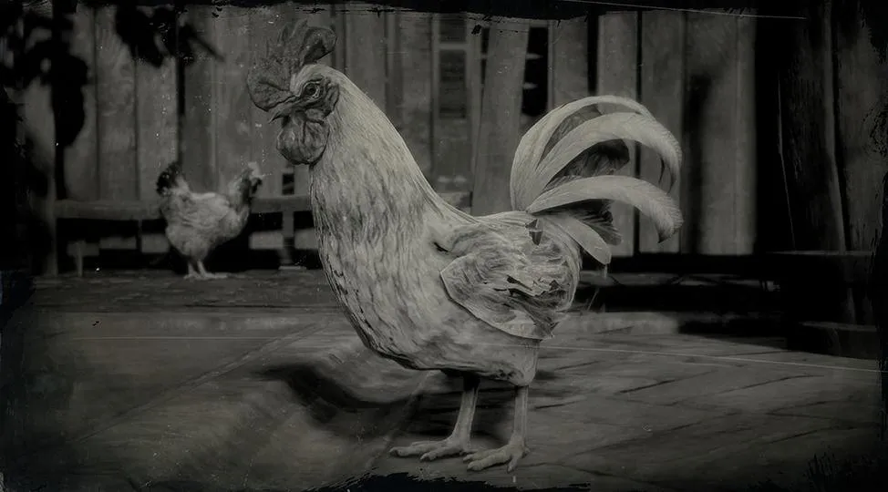 Leghorn Rooster - RDR2 Animals | Map Location & Where To Find Leghorn Rooster - RDR2 Animals | Map Location & Where To Find