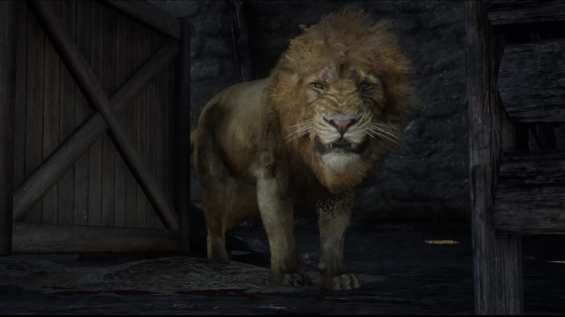 Lion - RDR2 Animal